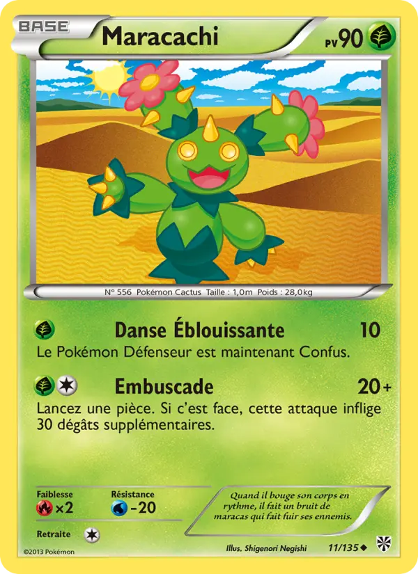 Maracachi
