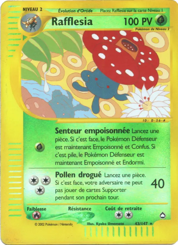 Rafflesia
