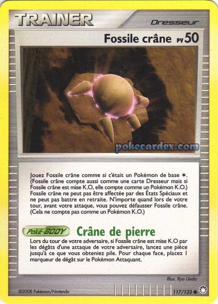 Fossile crâne