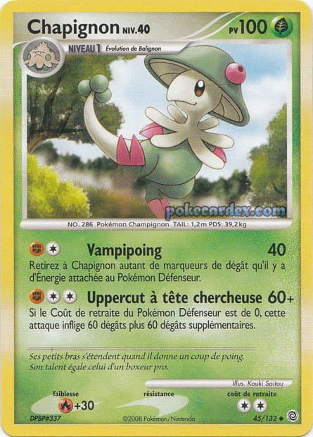 Chapignon